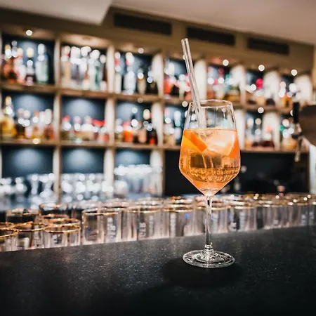 Hotel Birke - Appartments Waldesruh