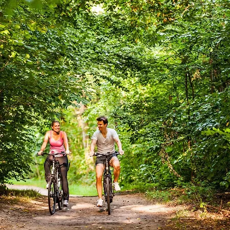 Birke - Appartments Waldesruh Kiel