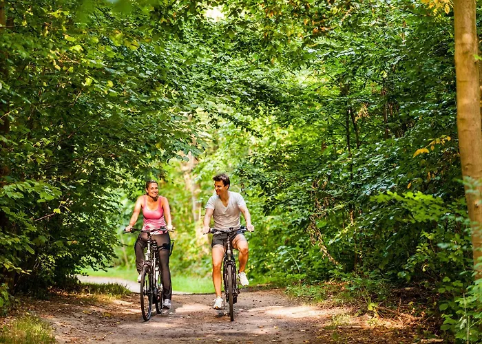 Birke - Appartments Waldesruh Kiel